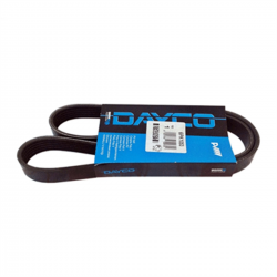 Ford Focus / C Max DAYCO V Kayışı